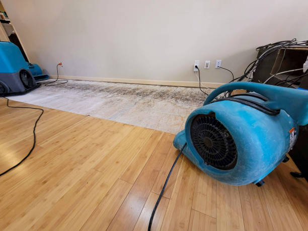 Professional Water Damage Repair technician working in Montgomery, AL